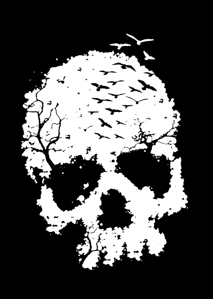 Double Exposure Skull with Birds