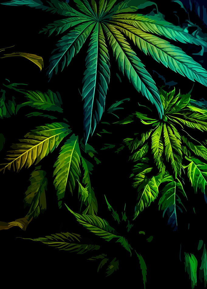 Vibrant Green Cannabis Leaves Art