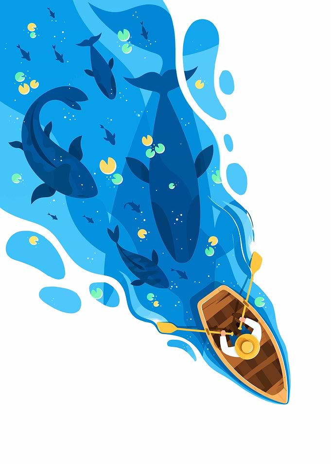 Person rowing boat among whales