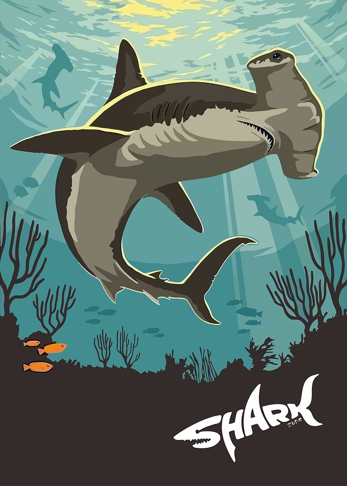 Hammerhead Shark Underwater Poster