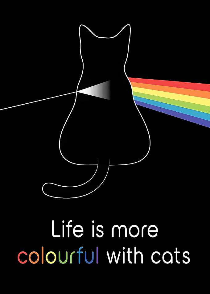 Life is More Colourful With Cats