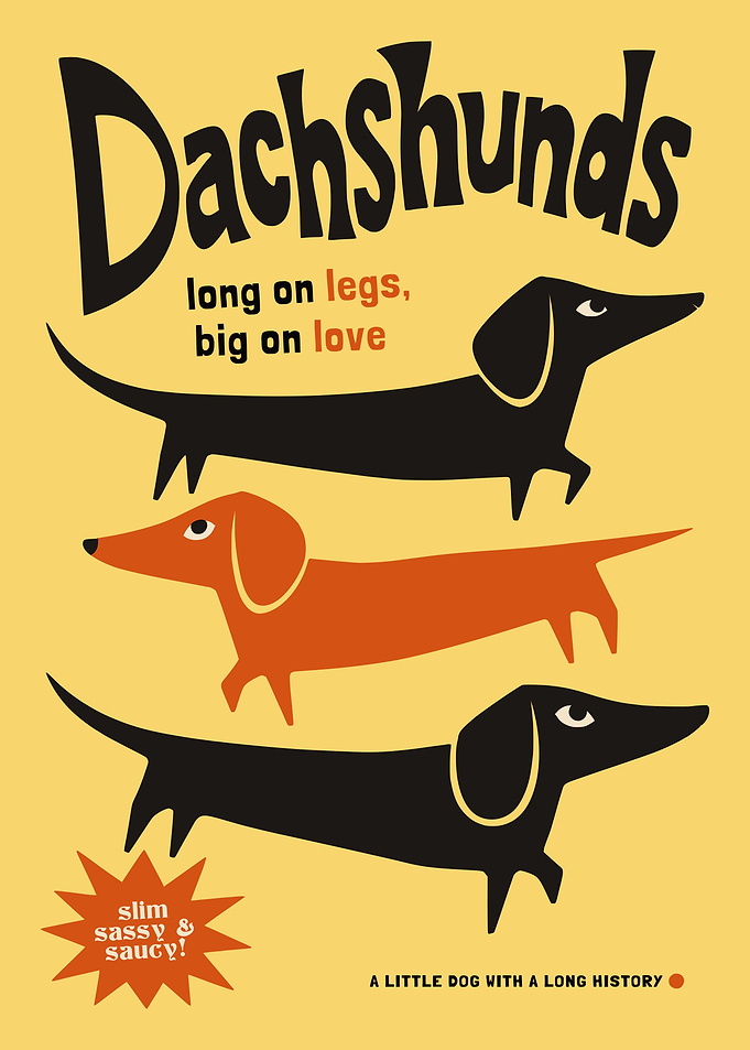 Dachshunds Long on Legs Big on Love