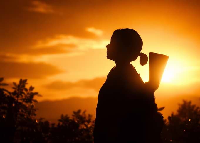 Lone Wanderer at Golden Hour