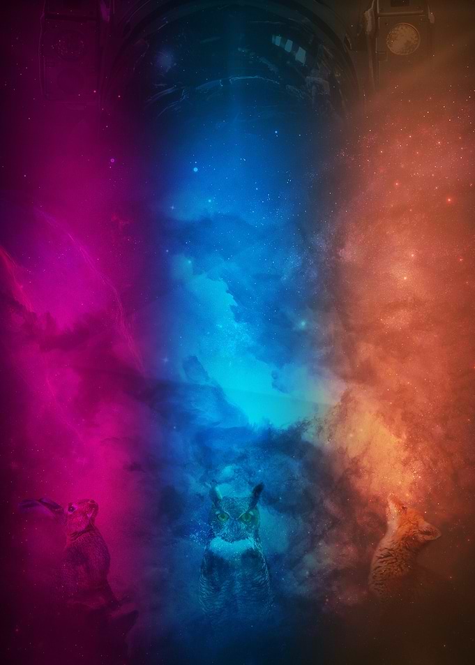 Cosmic Animals in Nebula Clouds
