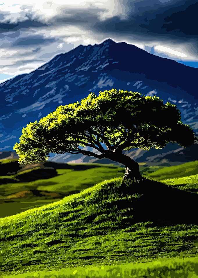 Solitary Tree on Grassy Hill