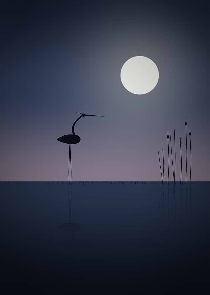 Heron - Minimalist Great Heron Wading Under a Full Moon