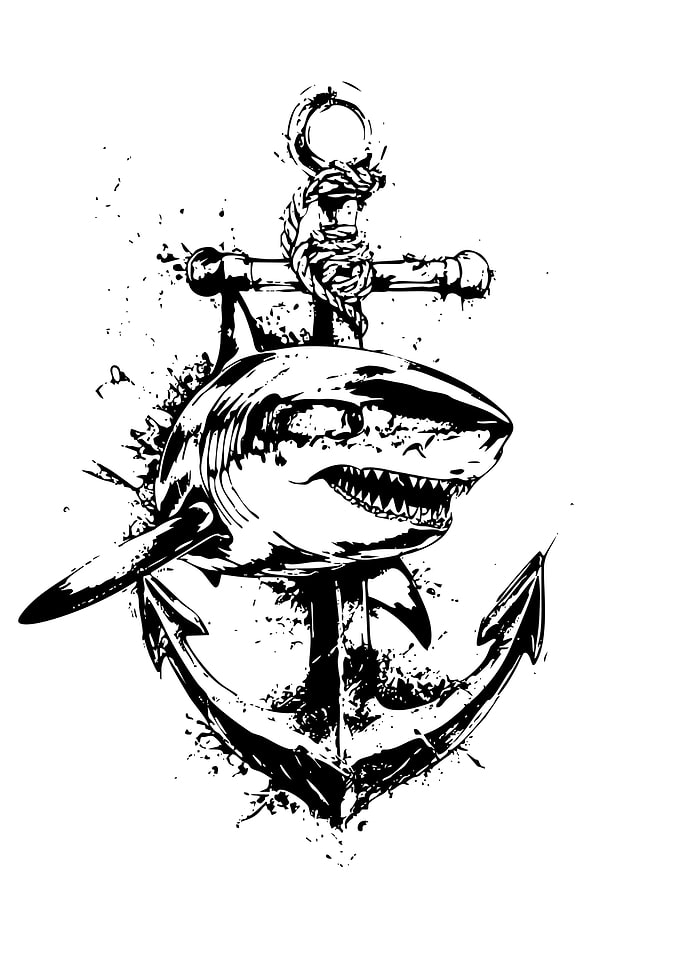 Shark and Anchor Nautical Illustration