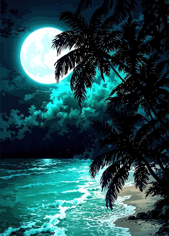 Tropical Beach Under Full Moon
