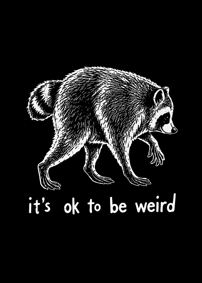 Jimothy The Raccoon