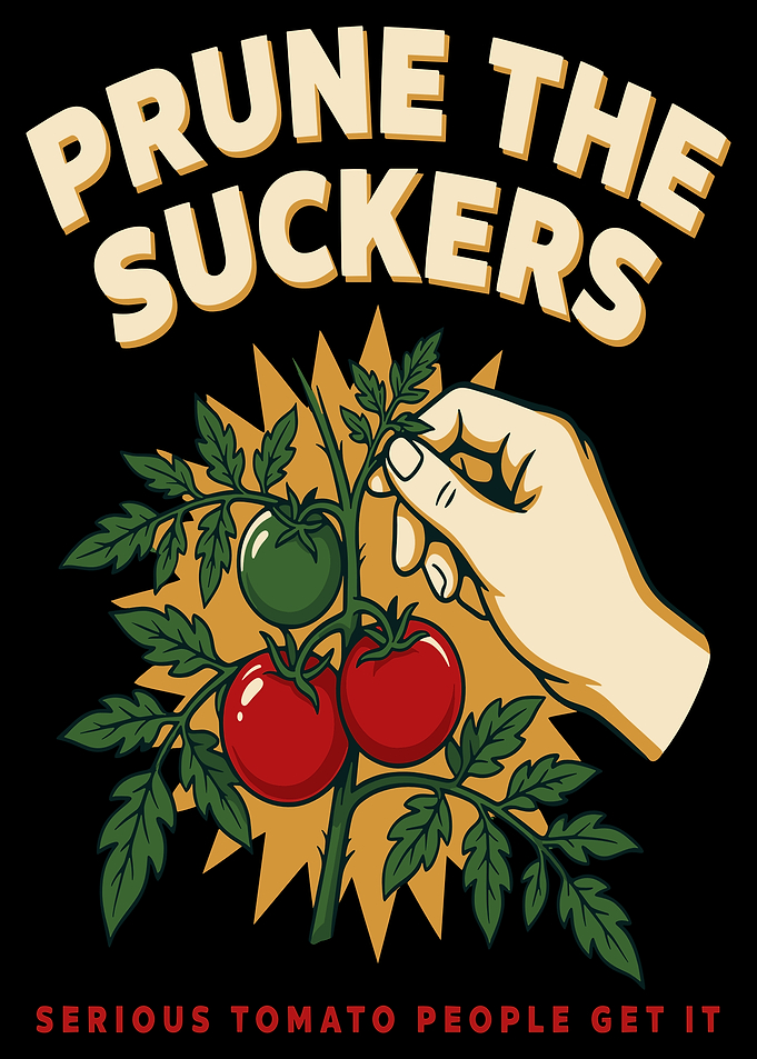 Prune The Suckers Tomato Gardening Design