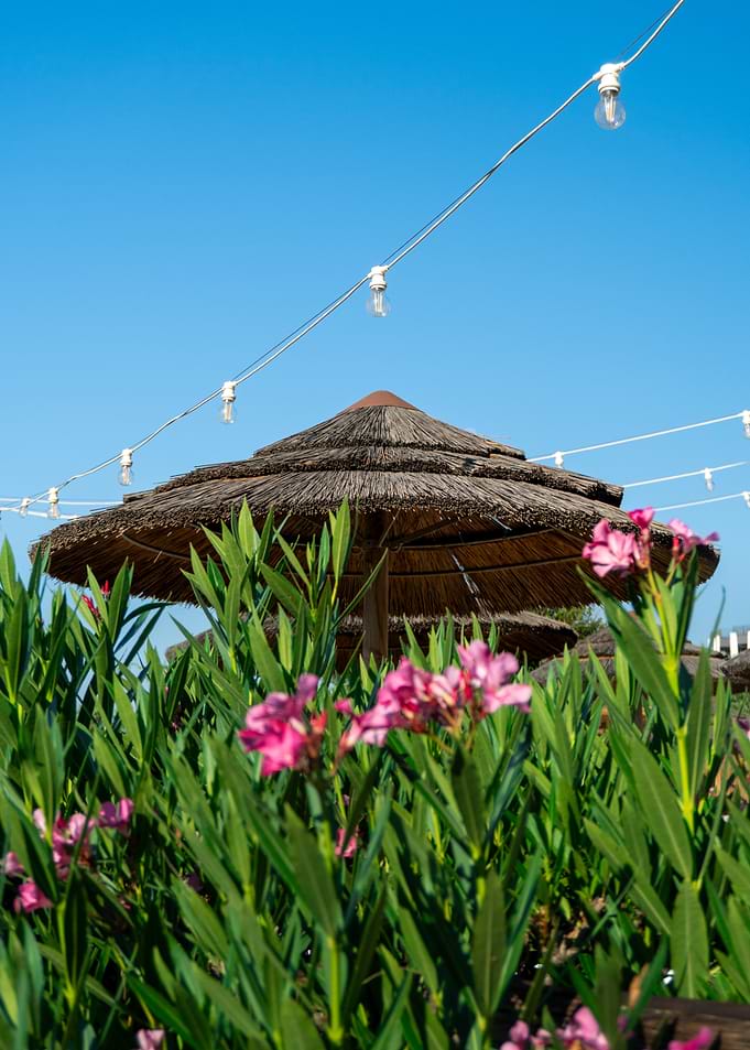 Summer Beach Scene with Pink Flowers