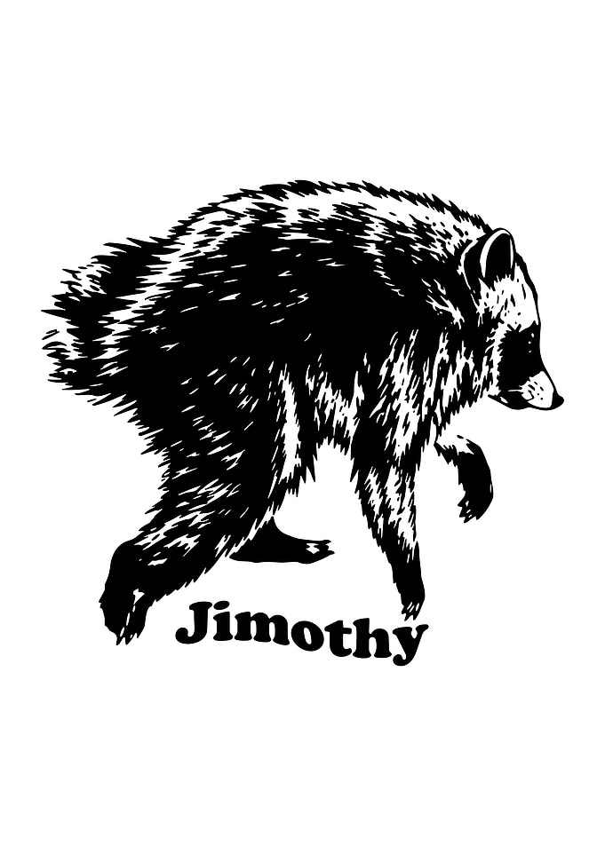 Jimothy the Raccoon Illustration