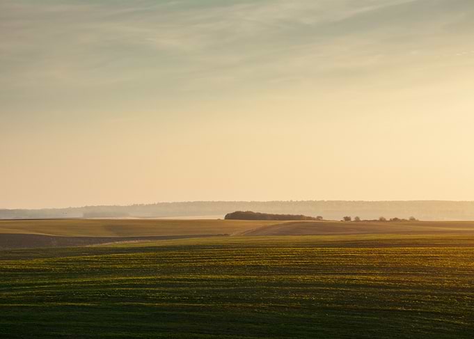 Golden Hour Over Rolling Fields