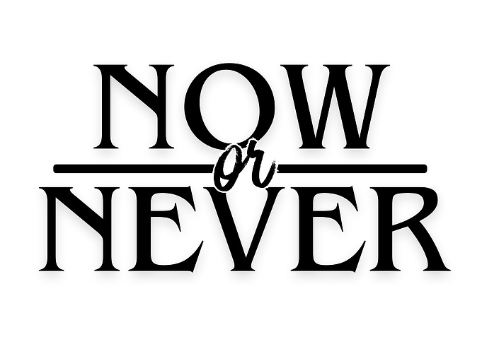 Now or Never Motivational Text Art