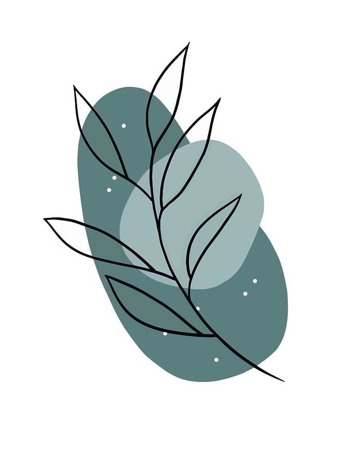 Minimalist Botanical Line Art