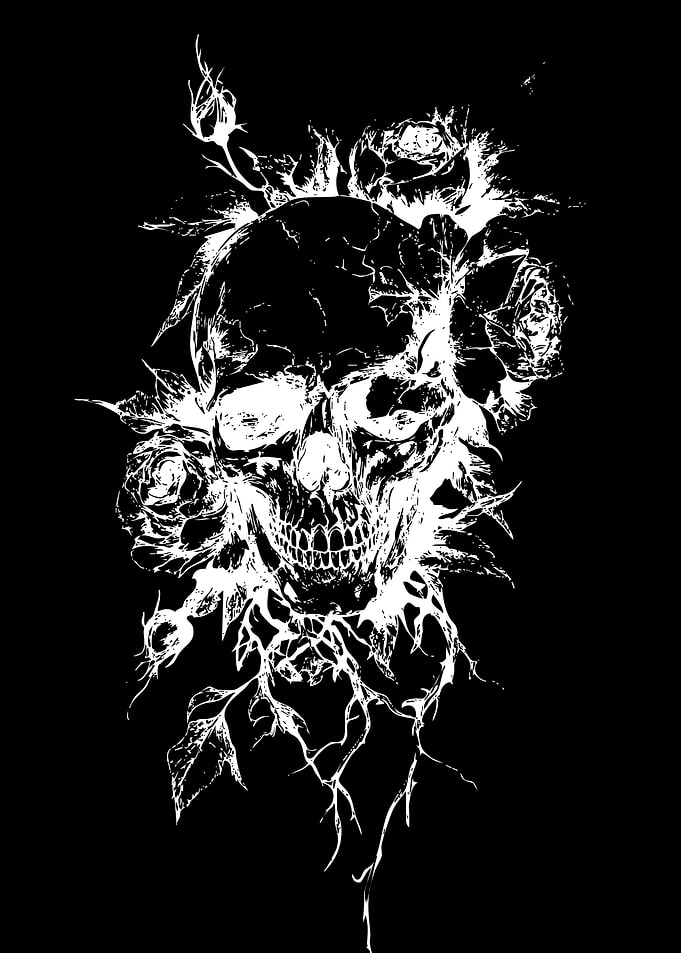 Skull and Roses Gothic Art