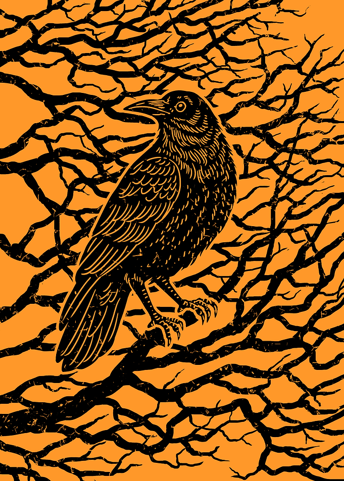 Silent Raven