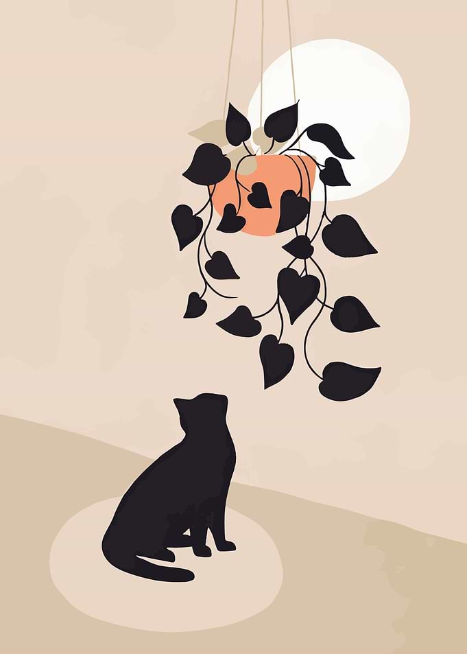 Minimalist Black Cat and Hanging Plant