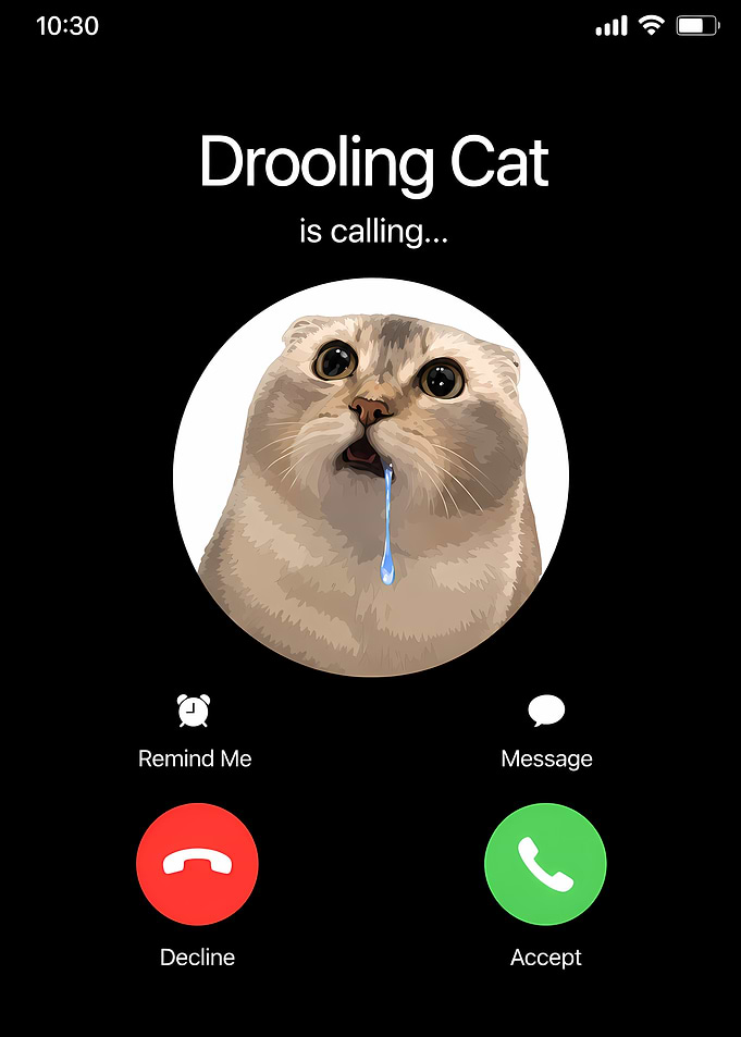 Drooling Cat Phone Call Screen