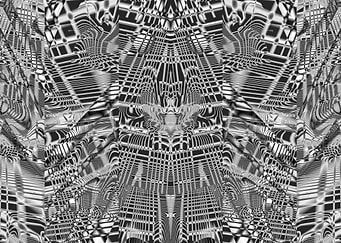 Psychedelic Monochrome Alien Fractal Pattern Digital Abstract Art