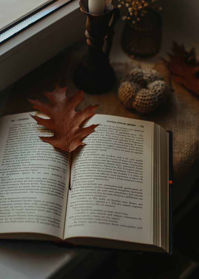 Cozy Autumn Reading Scene