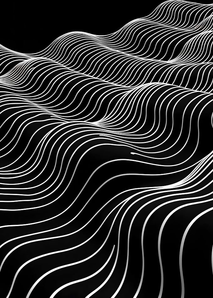 Abstract Black and White Wave Pattern