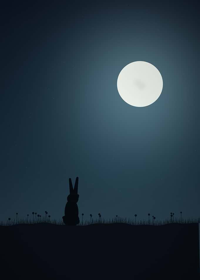 Hare - Minimalist Moon-Gazing Rabbit Under a Full Moon
