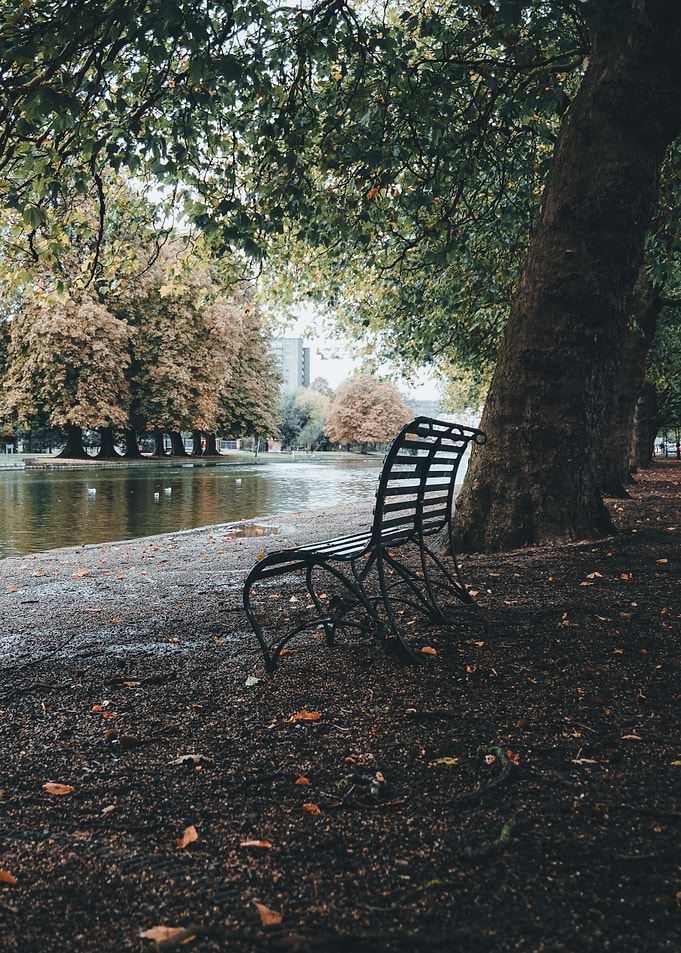 Empty Park Bench by the Lake