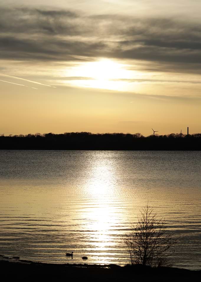 Golden Sunset Over Calm Lake