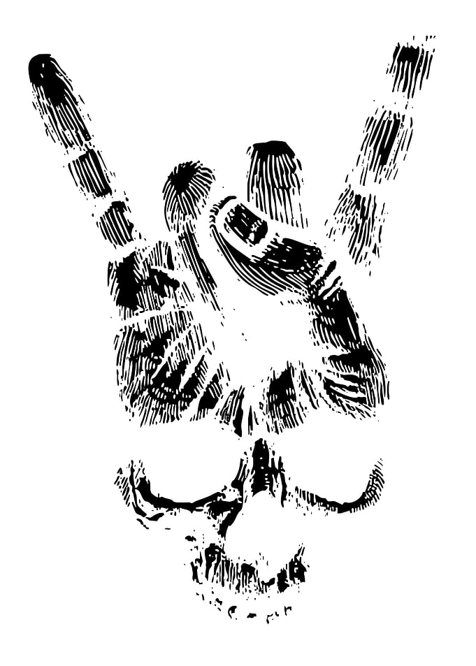 Rock and Roll Skull Hand Sign