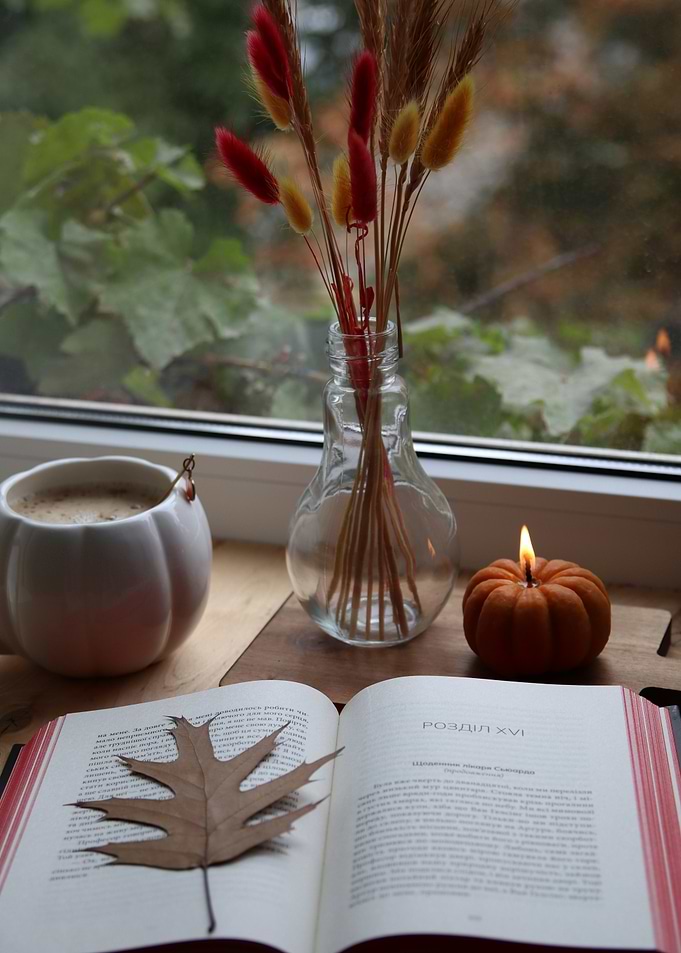 Cozy Autumn Reading Scene