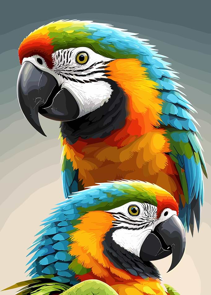 Vibrant Pair of Macaw Parrots