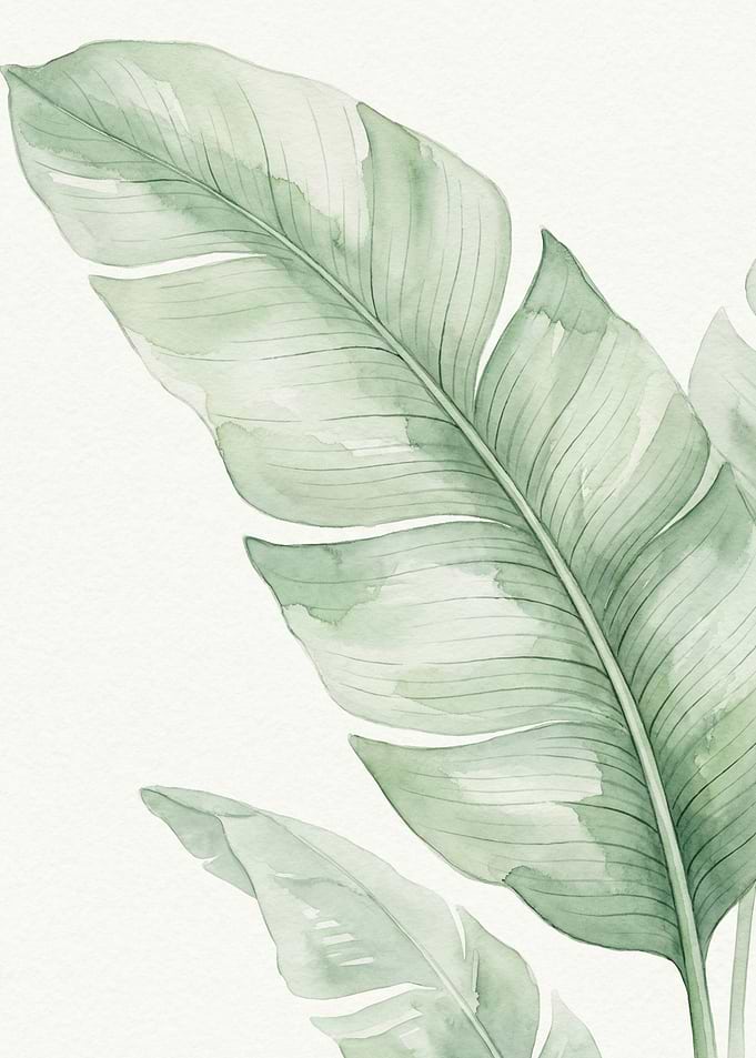 Watercolor Banana Leaf Botanical Art
