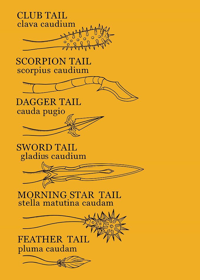 Dragon Sppecies Types