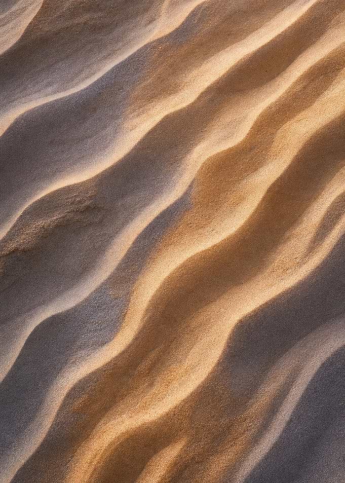 Wind Carved Sand Ripples Warm Abstract