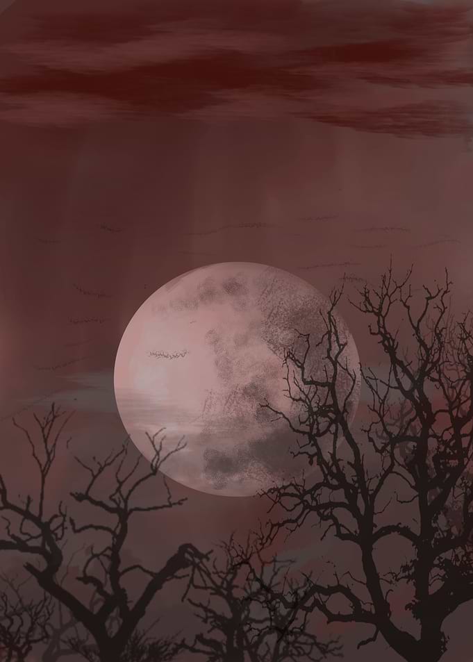 Crimson Night