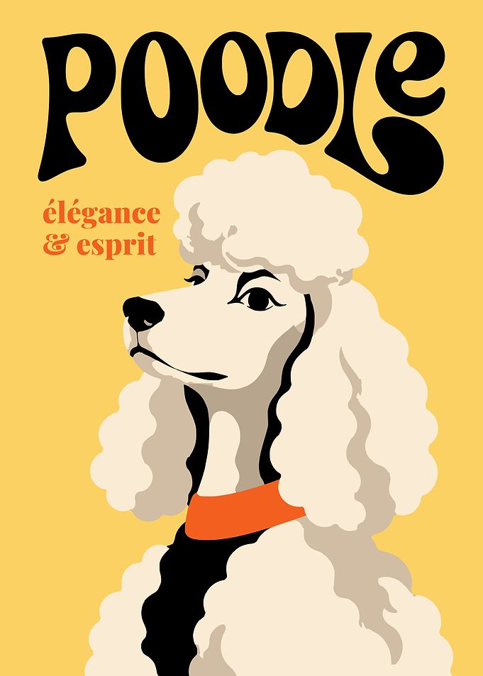 Vintage Style Poodle Poster