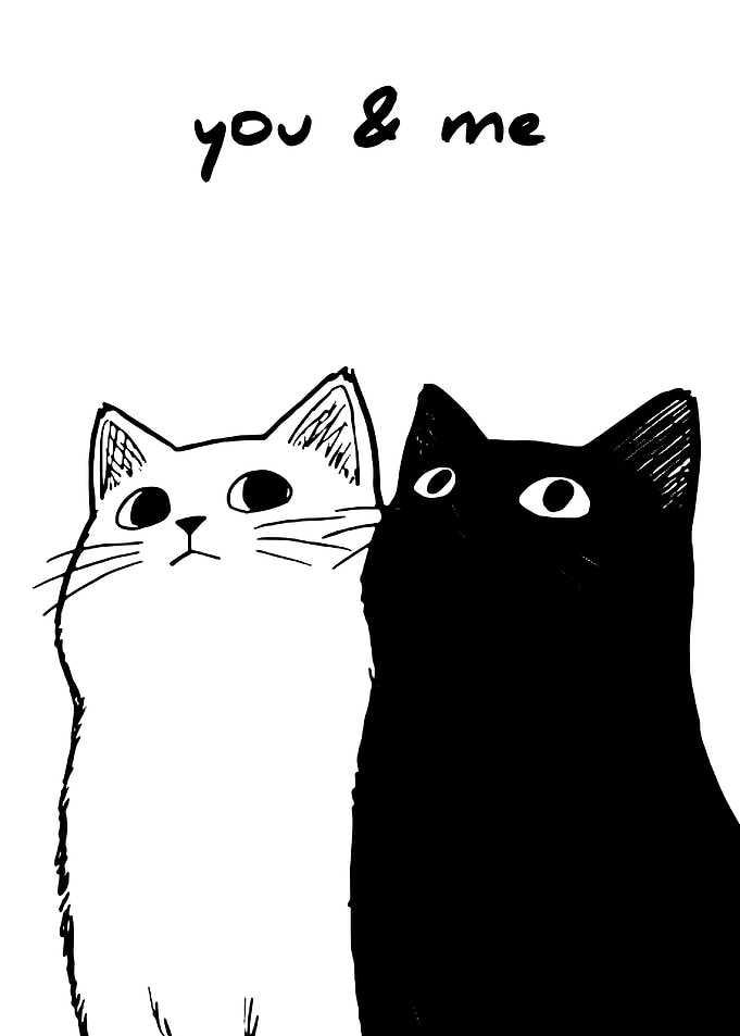Cute Black and White Cat Illustration