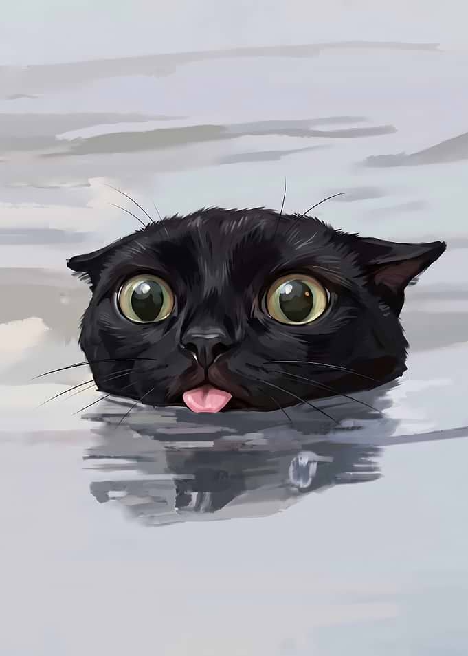 Silly Black Cat Swimming
