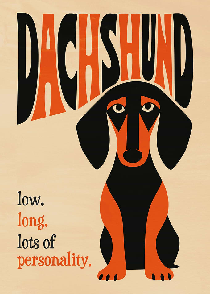 Dachshund Minimalist Dog Art Print