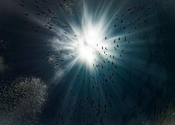 Underwater Sunlight