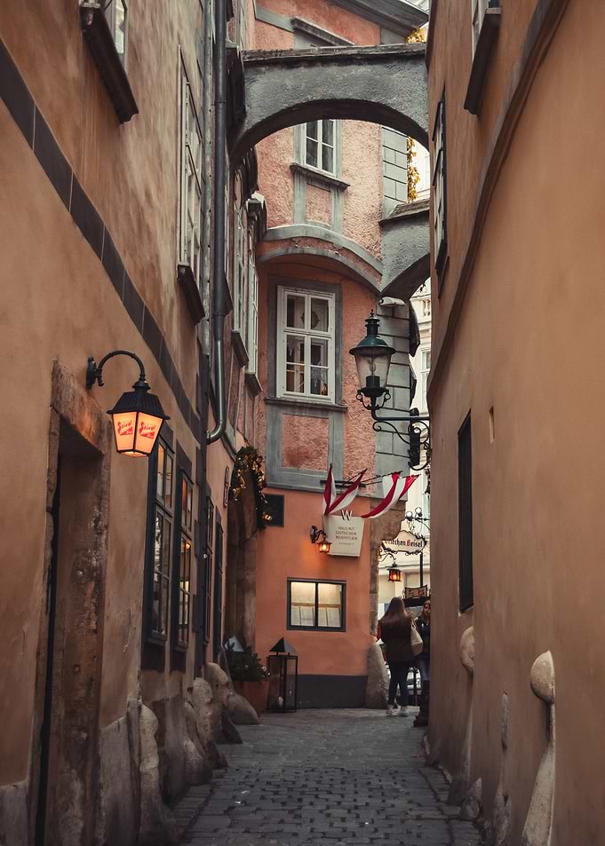 Narrow Cobblestone Alleyway in Vianna