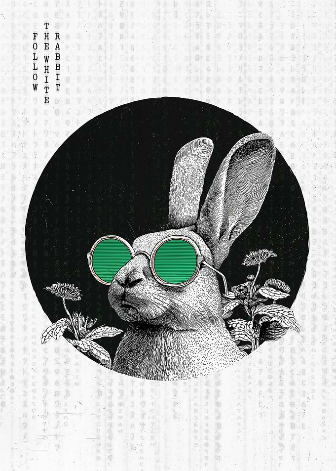 Follow The White Rabbit Matrix Poster