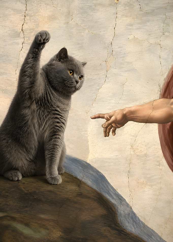 The Creation of Cat