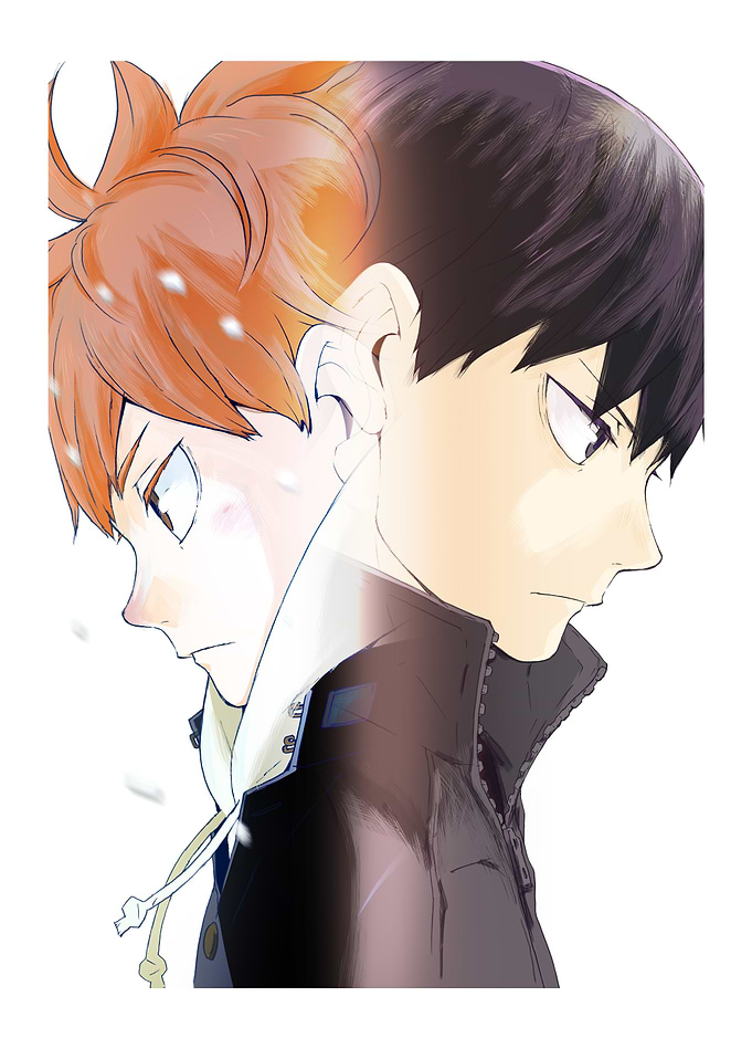 Haikyuu!! Duo: Rivals and Partners