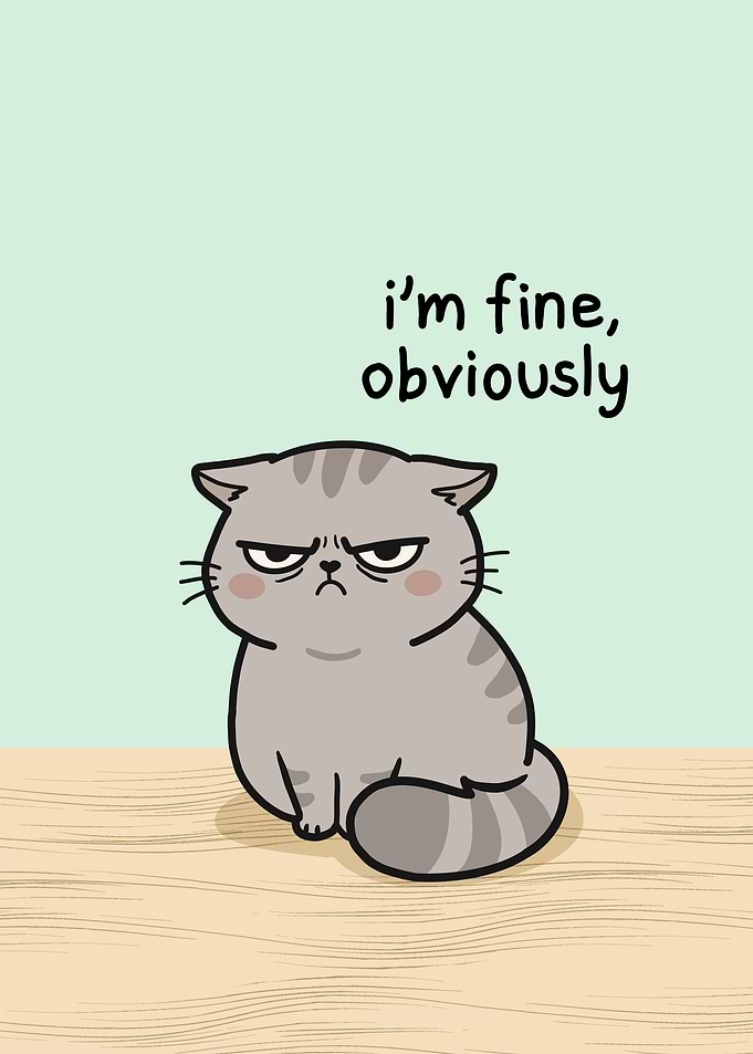 Grumpy Cat Saying I'm Fine
