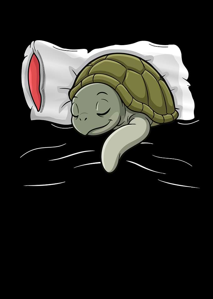 Cute Sleeping Sea Turtle Illustration