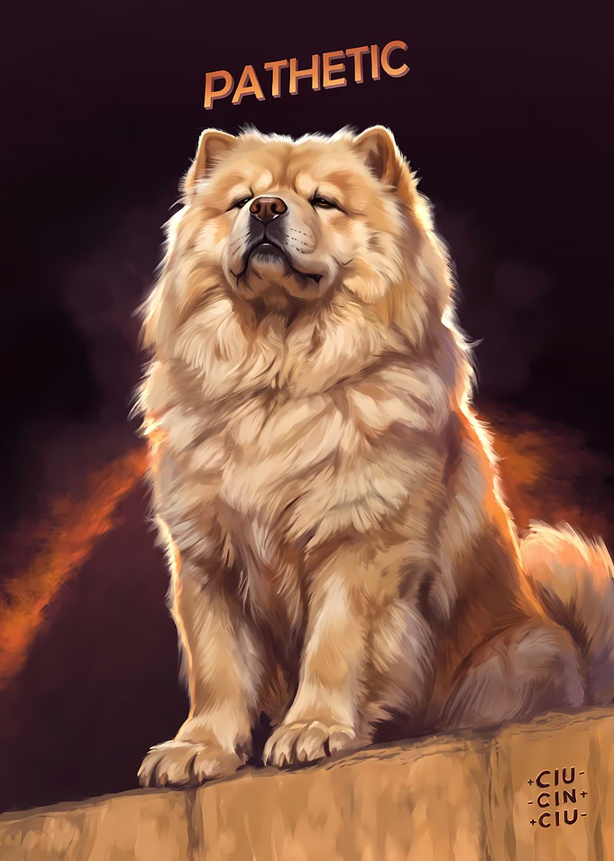 Pathetic Chow Chow Dog Portrait