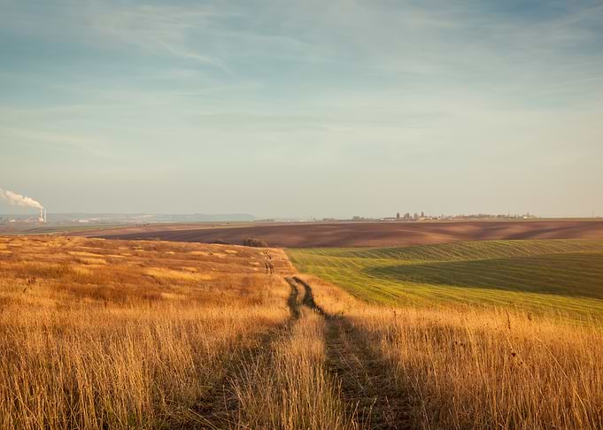 Dirt Path Through Golden Fields