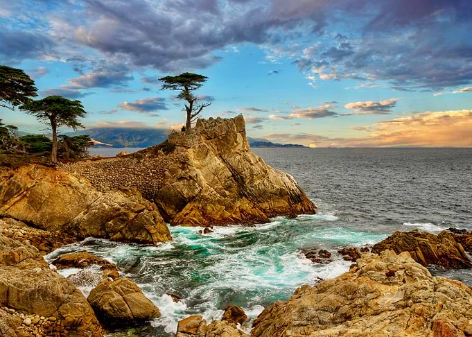 The Lone Cypress at Pebble Beach